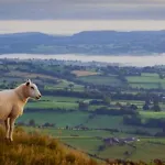 Holiday home Sunnyholme - New! Yorkshire Luxurious Hawes